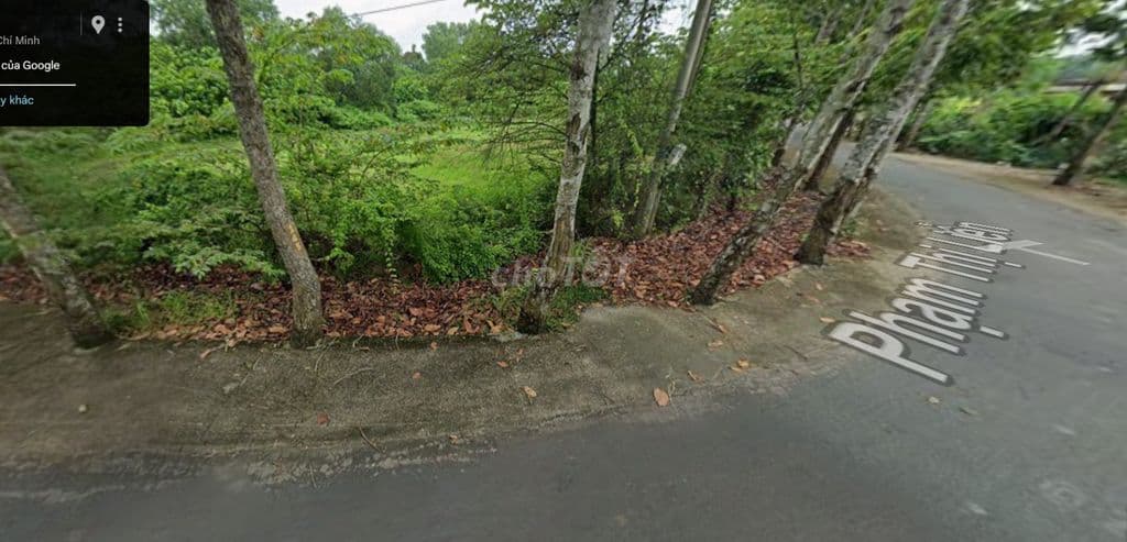 Đất nền full thổ 1311m2 Thái Mỹ (Củ Chi), Tp.HCM - Ảnh 3