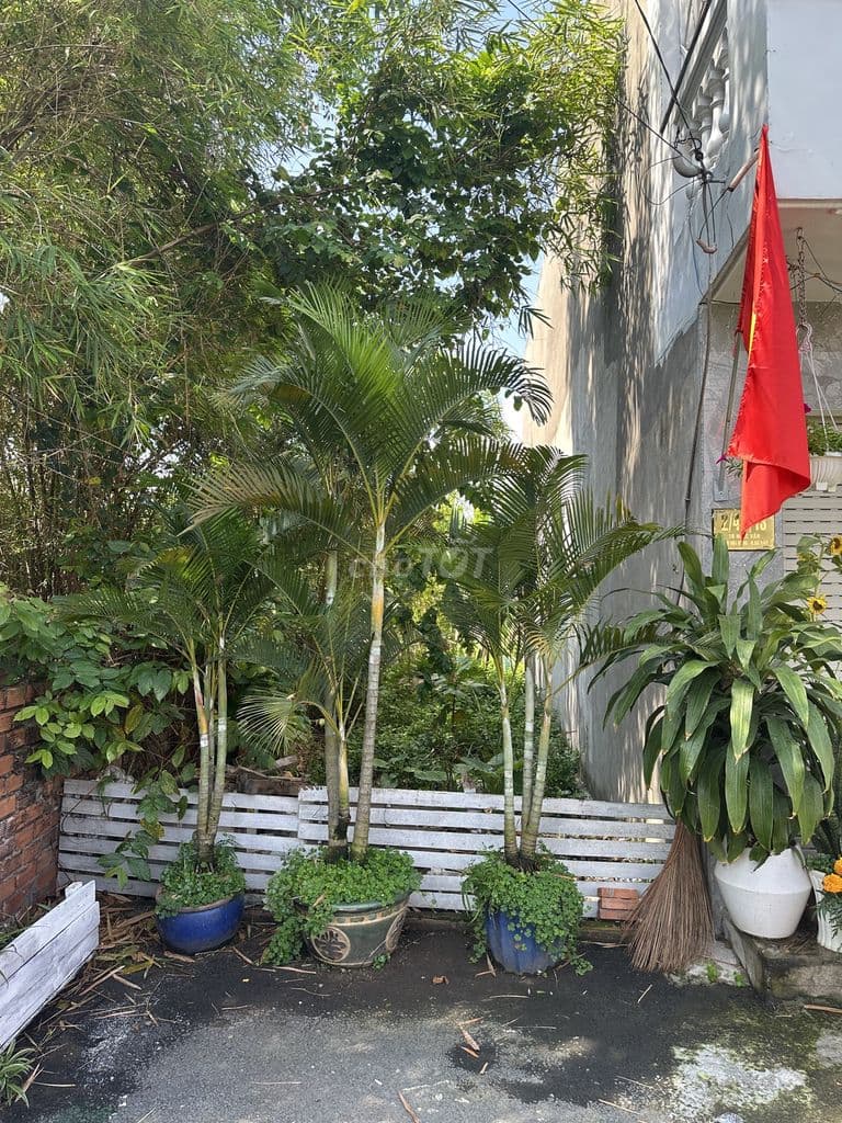 Bán đất 2/43/15 Tô Ngọc Vân, Gò Vấp, 56.8m² nở hậu 4.86m - 3.2 tỷ (TL)