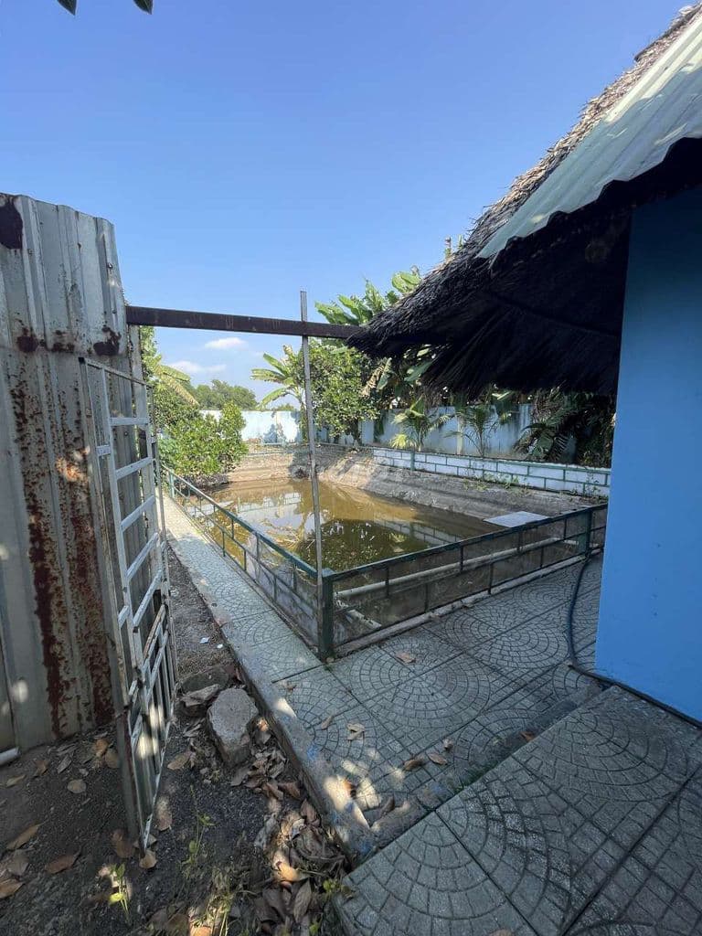 Nhà vườn 576m khu trại dê Đời Tân. Rạch Cây Xanh