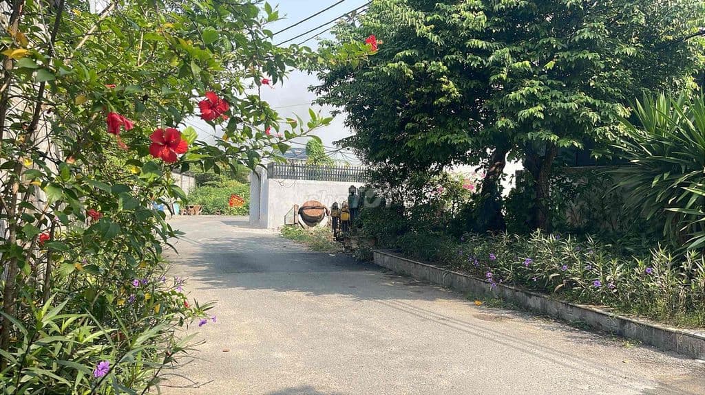 ĐẤT 4.5X12.5M 56.6M2 ĐƯỜNG Ô TÔ KHU ĐẸP KẾ VẠN PHÚC ĐỒNG BỘ - Ảnh 3