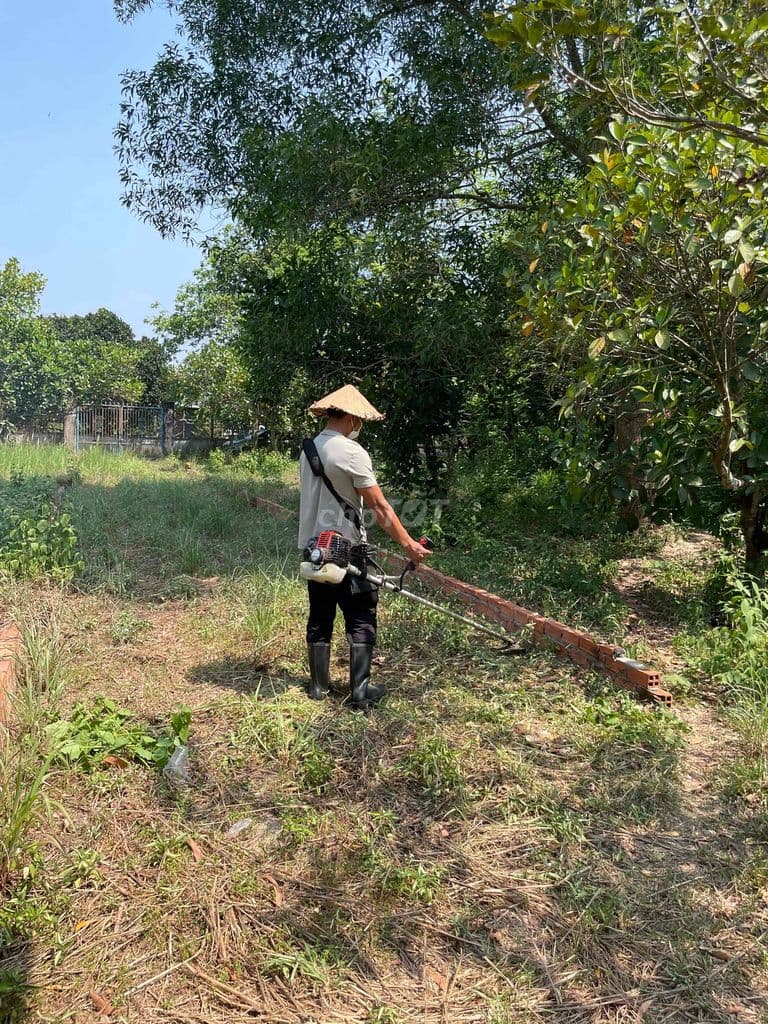 BÁN ĐẤT CỦ CHI XÃ AN NHƠN TÂY - Ảnh 3