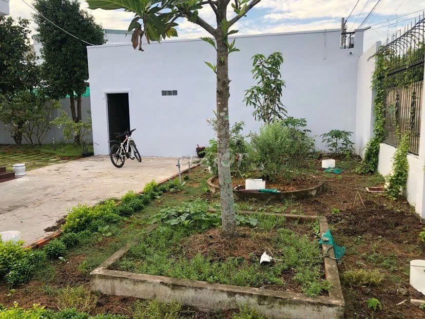 Bán gấp căn nhà vườn 190m2 Lê Minh Nhựt sổ hồng riêng giá 910 triệu - Ảnh 2