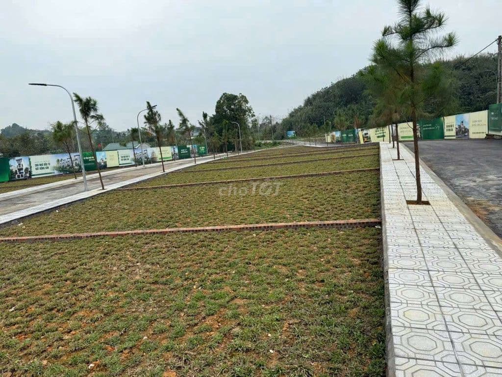 LÔ ĐẤT ĐỒNG TRẠNG CỔ ĐÔNG 100M FULL THỔ CƯ MẶT TIỀN 6M GIÁ 2,95 TỶ - Ảnh 2