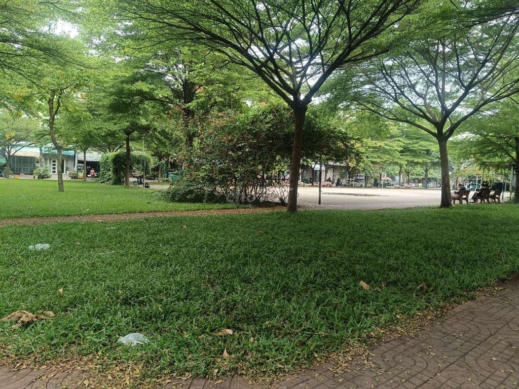 Hẻm 12m, DT:5 x 20m. CN 100m. Giá 13,5 tỷ. Bình Lợi, F13. Bình Thạnh. - Ảnh 3