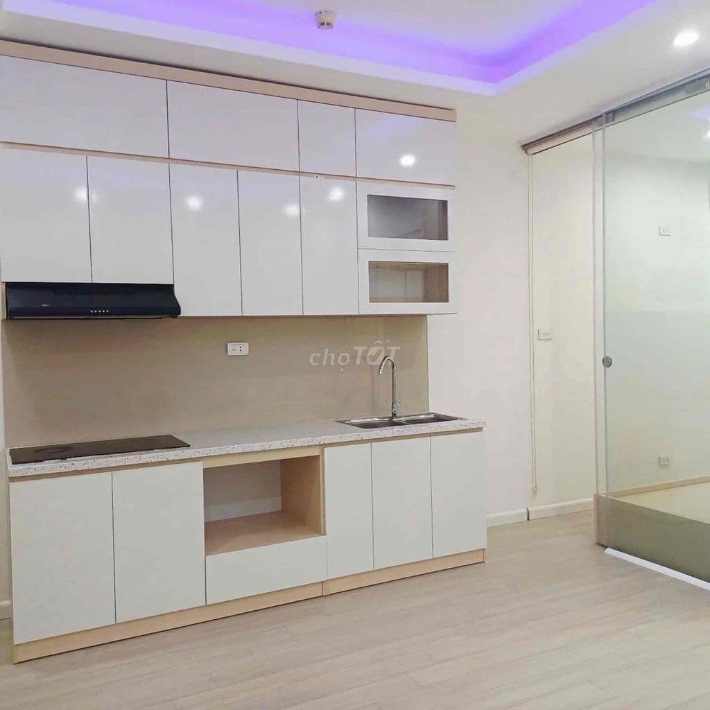 BÁN CC NAM TRUNG YÊN, CẦU GIẤY 45m2 2PN chỉ 4.4 tỷ - Ảnh 2