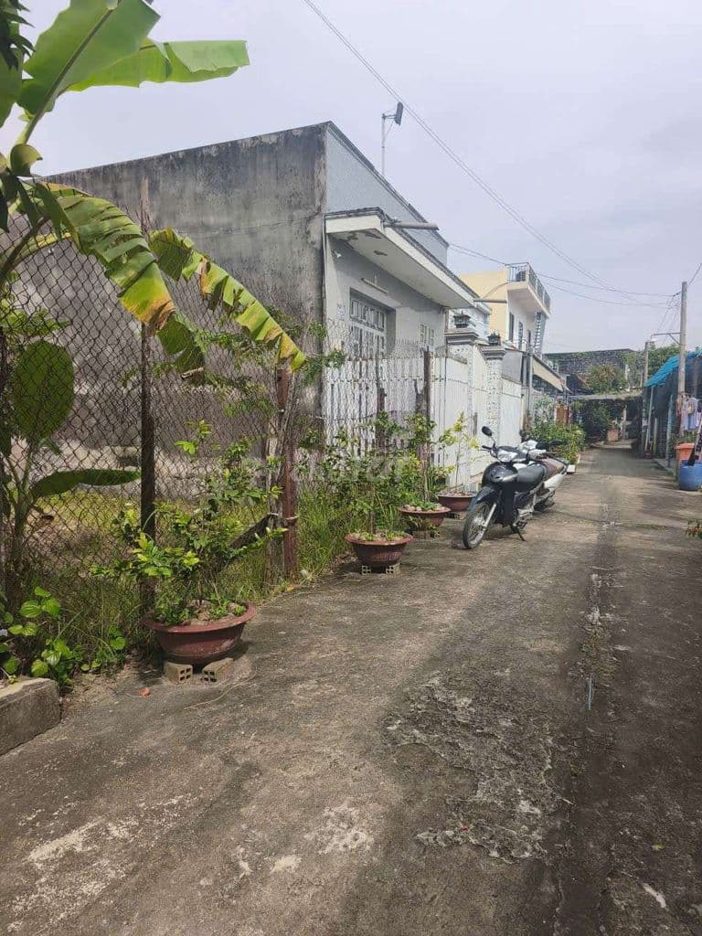 Bán đất hẻm 1/ đường Đinh Đức Thiện 10x10=100m - Ảnh 2