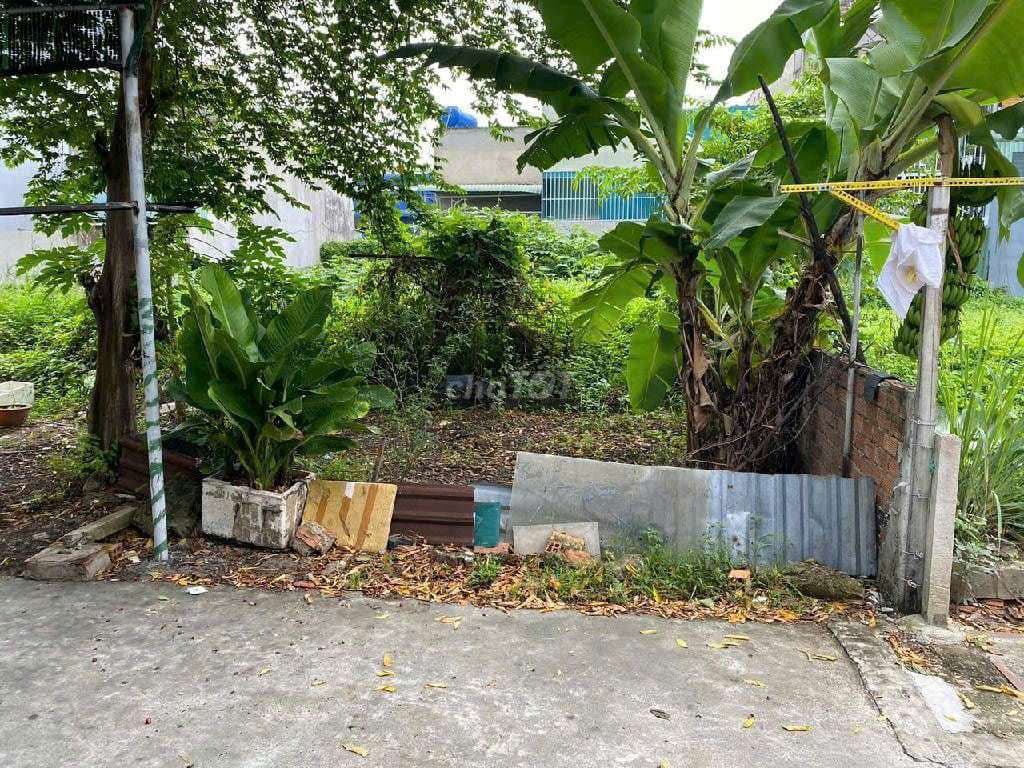 XÂY TỔ ẤM 80M² (4x20m) – ĐẤT TRỐNG XÂY NGAY – ÔTÔ TẬN CỬA – CHỈ 3.6 TỶ - Ảnh 3