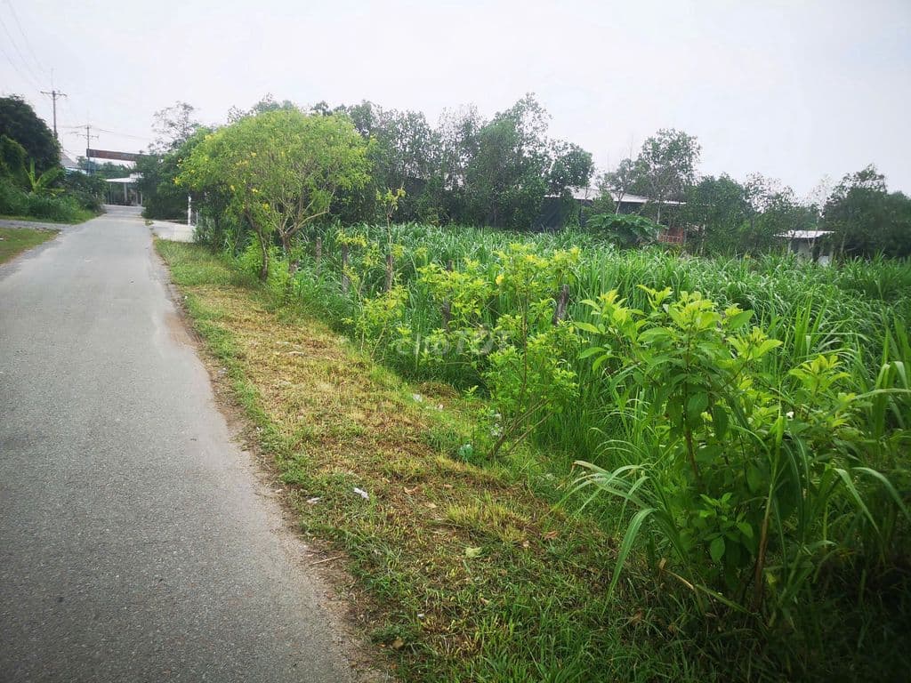 Bán đất mặt tiền đường 762 - Gần sát chợ An Nhơn Tây, BV Đa Khoa CủChi - Ảnh 3