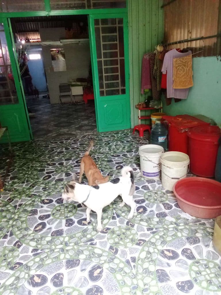 Cần tiền bán gấp nhà đường Nguyễn Thị Lèn - Ảnh 2