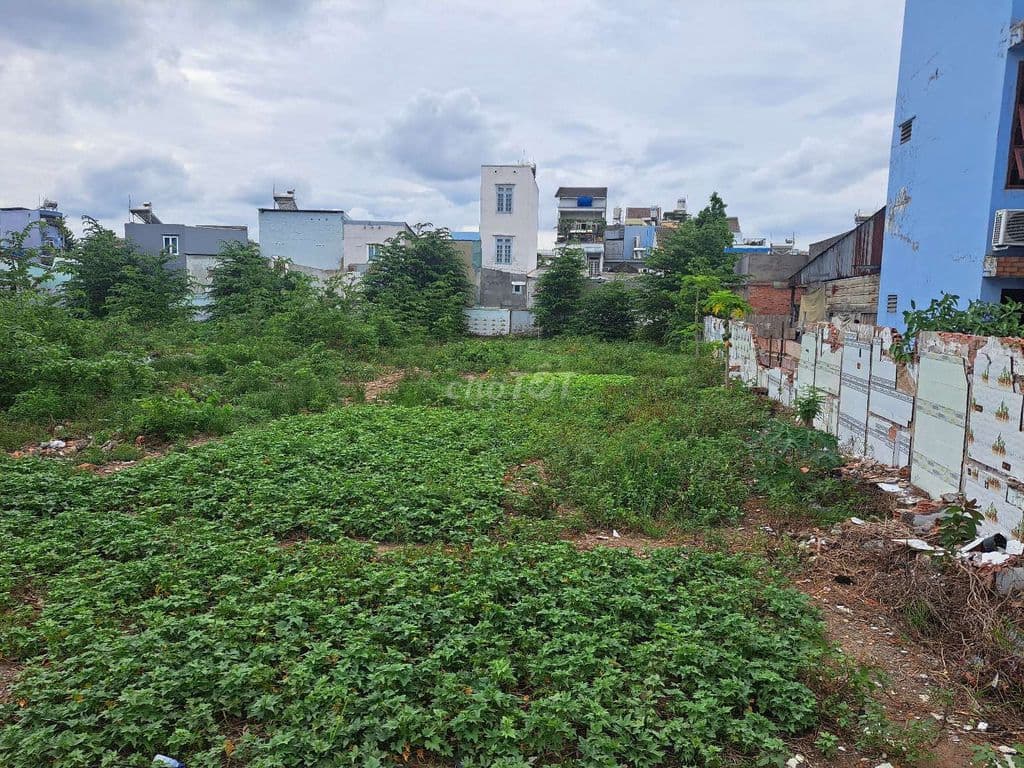 QUỸ ĐẤT VÀNG 2.150m² NGAY PHẠM VĂN ĐỒNG – LINH TÂY, THỦ ĐỨC - Ảnh 3
