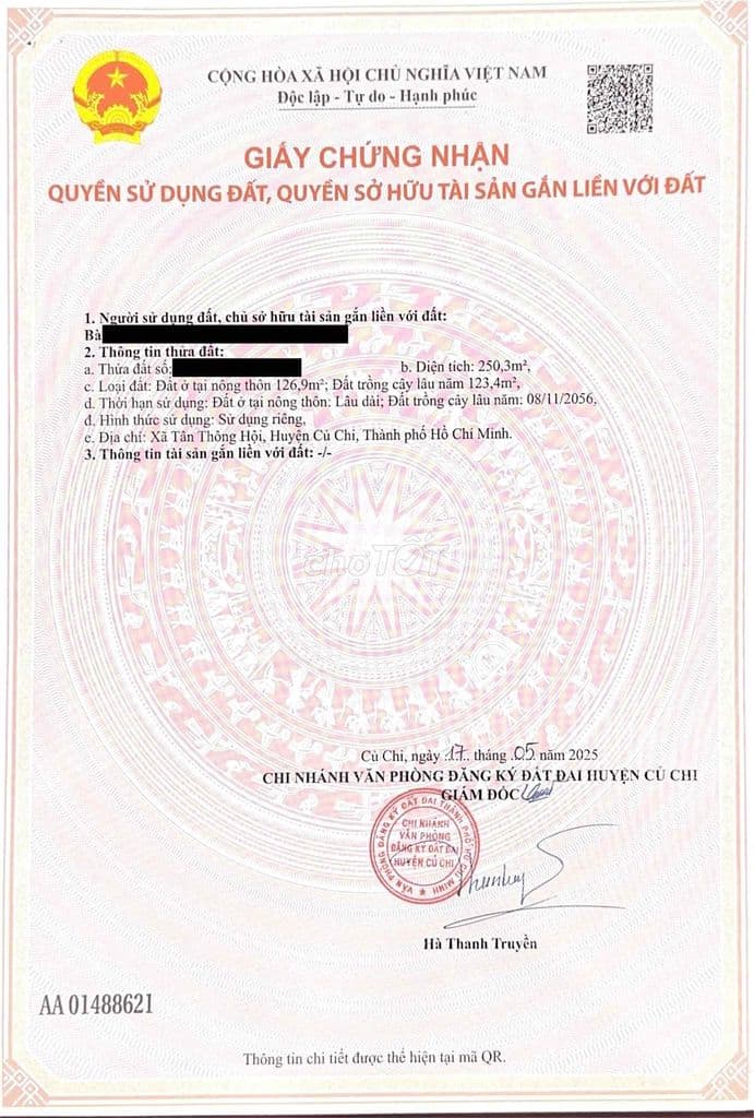 chính chủ cần bán nhà đất mặt tiền 250,3m2, cách Liêu Bình Hương 100m - Ảnh 2