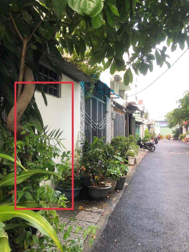 Nhà cấp 4 Hà Huy Giáp Q12 gần 60m2 sẵn sổ bán có 4ty9 bao thuế má - Ảnh 3