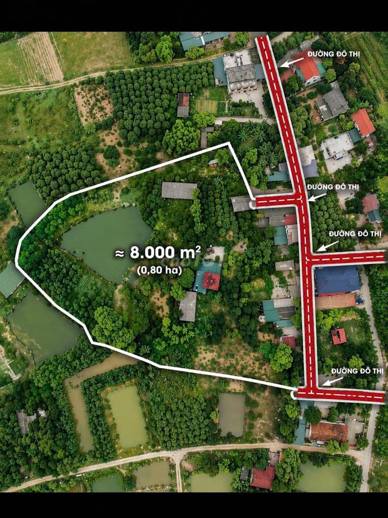 BÁN KHUÔN VIÊN NHÀ VƯỜN AO CÁ CÁCH HỒ SUỐI HAI 500 MÉT - Ảnh 3