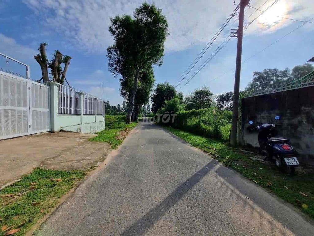 Người nhà kẹt tiền cần bán gấp lô đất 500m2(10x50) giá 800tr - Ảnh 2