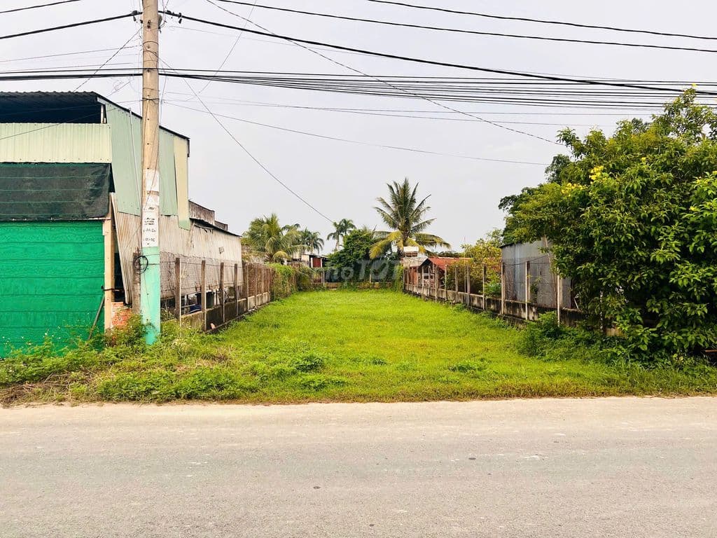 VỠ NỢ CẦN BÁN GẤP LÔ ĐẤT 300M2 NGAY ĐƯỜNG BA SA -CỦ CHI - Ảnh 2