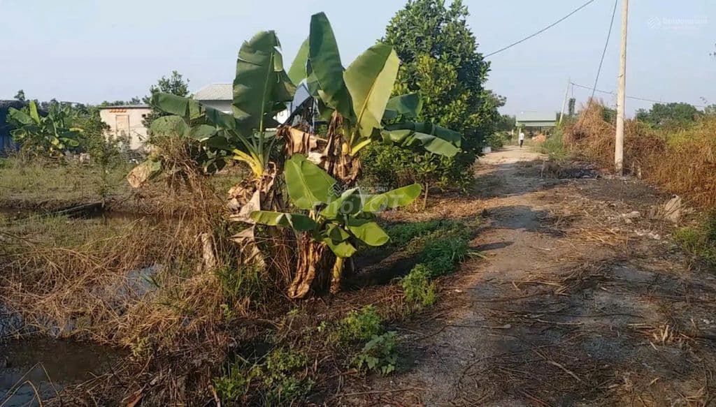 Bán đất đường Kênh 5 - Vườn Thơm, X. Bình Lợi