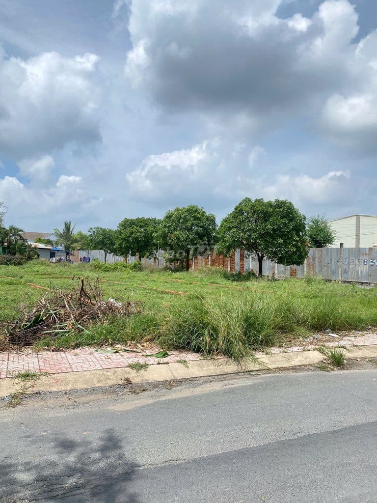 ĐẤT KHU DÂN CƯ TÂN PHÚ TRUNG CỦ CHI,5X26,130M2 FULL THỔ CƯ,SHR,550TR - Ảnh 3