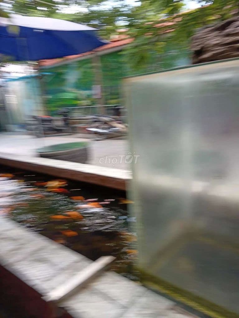 358m thổ cư 2 mặt tiền, tiện tách 5 lô bán giá lúa non SHR
