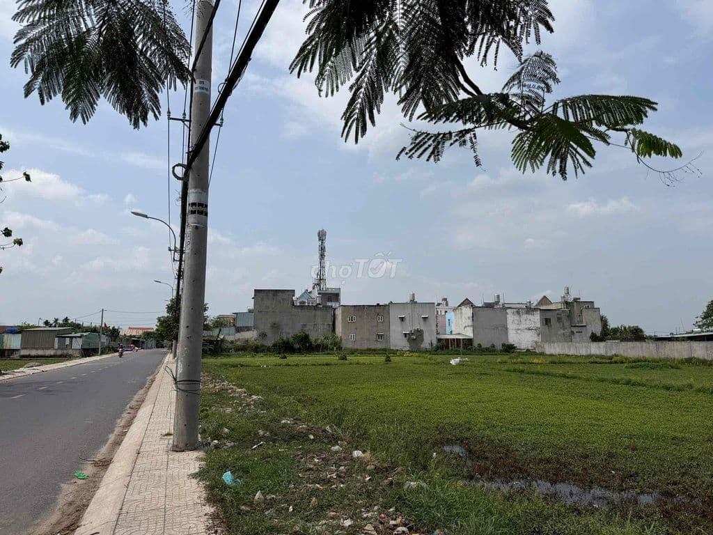 Bán đất Bà Điểm 4-Hóc Môn.DT:163,6m2,đường nhựa rộng 7m - Ảnh 3