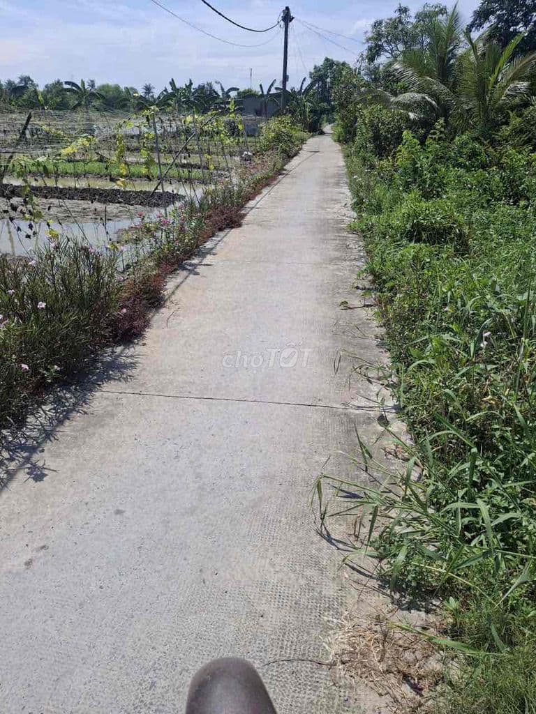 Bán đất 3444m2 QH Làng Đại Học Hưng Long giá 2.5tr/m2