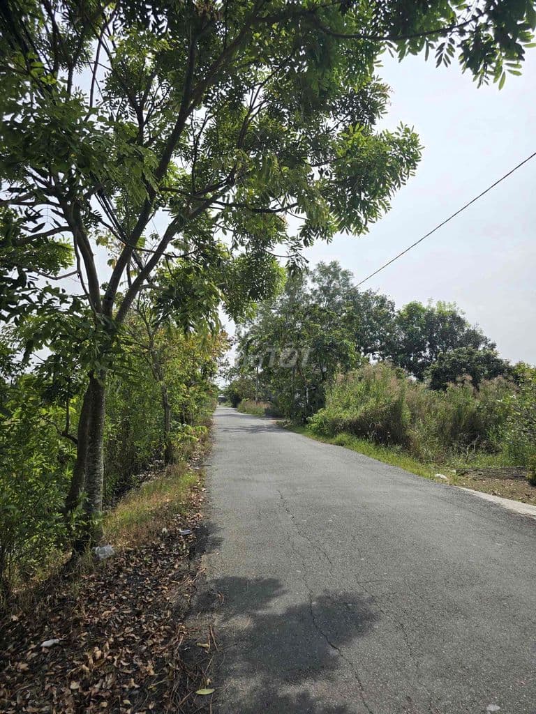 Bán 1000m2 đất trồng cây lâu năm, Xã Hưng Long, Bình Chánh, HCM