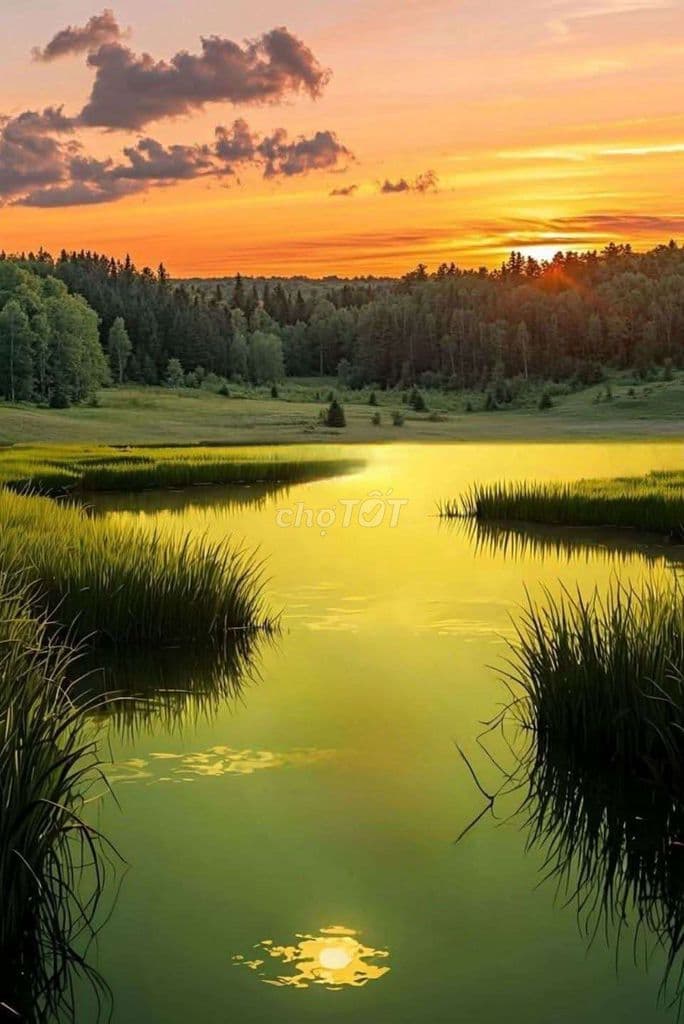 Lê trực - Ảnh 3