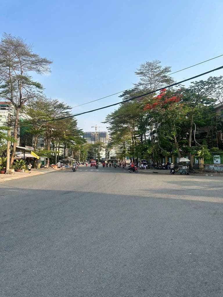 Bán đất 5x18 (90m2), sổ hồng riêng, đường 10m, kdc phú lợi Phường 7 Q8 - Ảnh 3