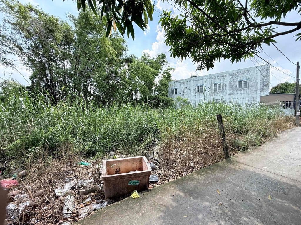 Đất xã Bình Chánh Gần vòng xoay Nguyễn Văn Linh - Ảnh 2