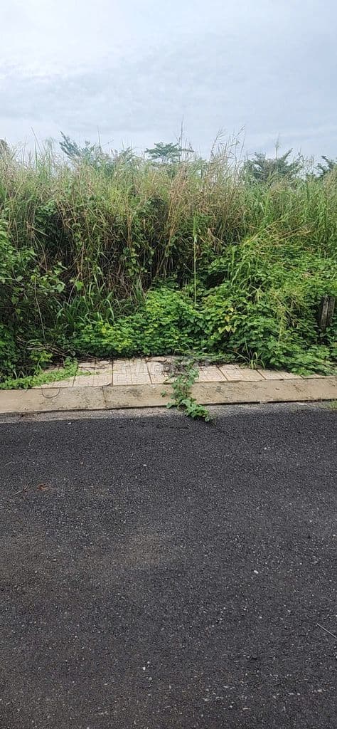 bán đất khu dân cư bình mỹ - Ảnh 3