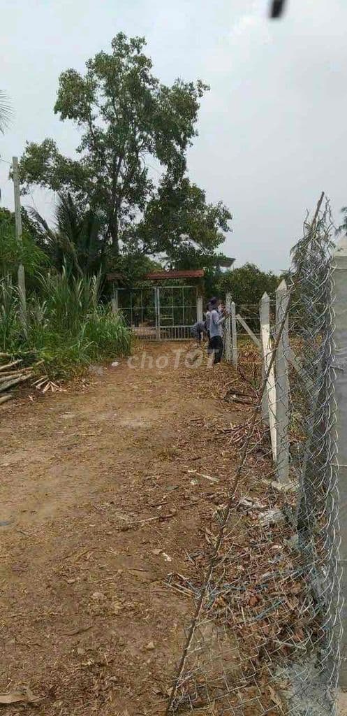 Bán đất vườn nở hậu, hẻm xe hơi, sổ riêng chính chủ, dễ đầu tư