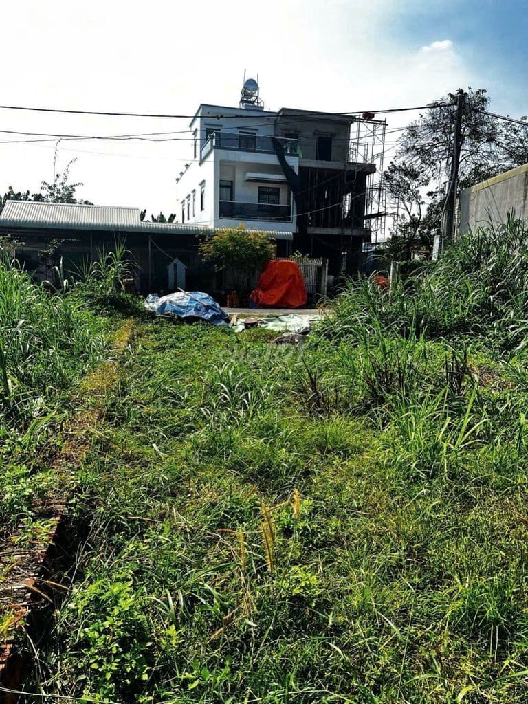 CẦN BÁN LÔ ĐẤT MT MAI THỊ BUỘI CỦ CHI 119M2 THỔ CƯ GIÁ 500TR SIÊU HOT - Ảnh 2