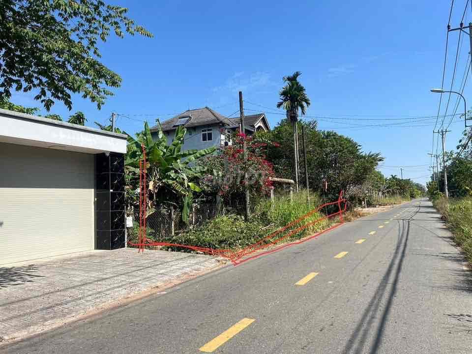 Bán đất mặt tiền đường Bến Súc xã An Phú Củ Chi - Ảnh 3