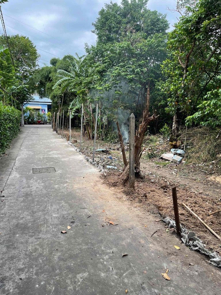 BÁN ĐẤT THỔ CƯ HẺM XE HƠI – GIÁ 4,6TỶ 📍 Xã Bà Điểm 📐 Diện tích: 5m x - Ảnh 3