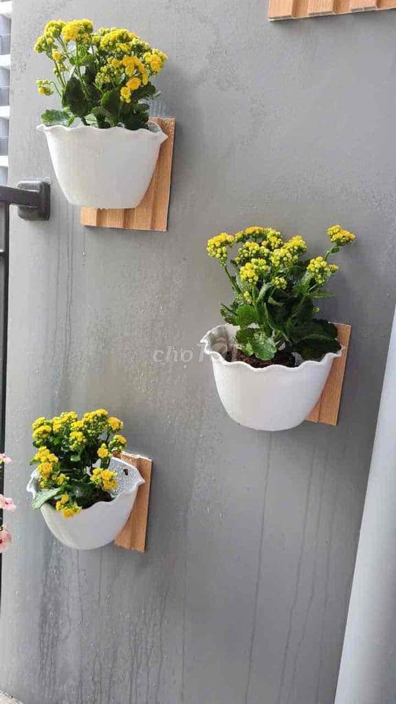 bán căn 3pn view công viên mát mẻ , giá tốt - Ảnh 3