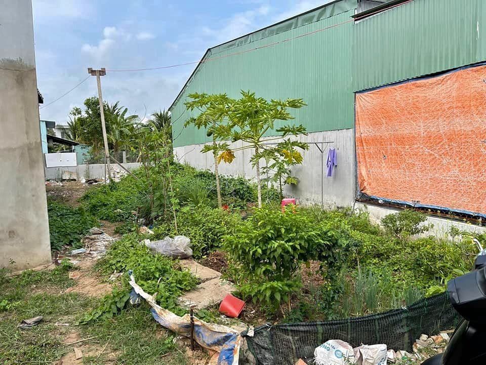 KẸT TIỀN BÁN NHANH LÔ ĐẤT XÃ TÂN AN HỘI, 234m2, SHR, 795TR