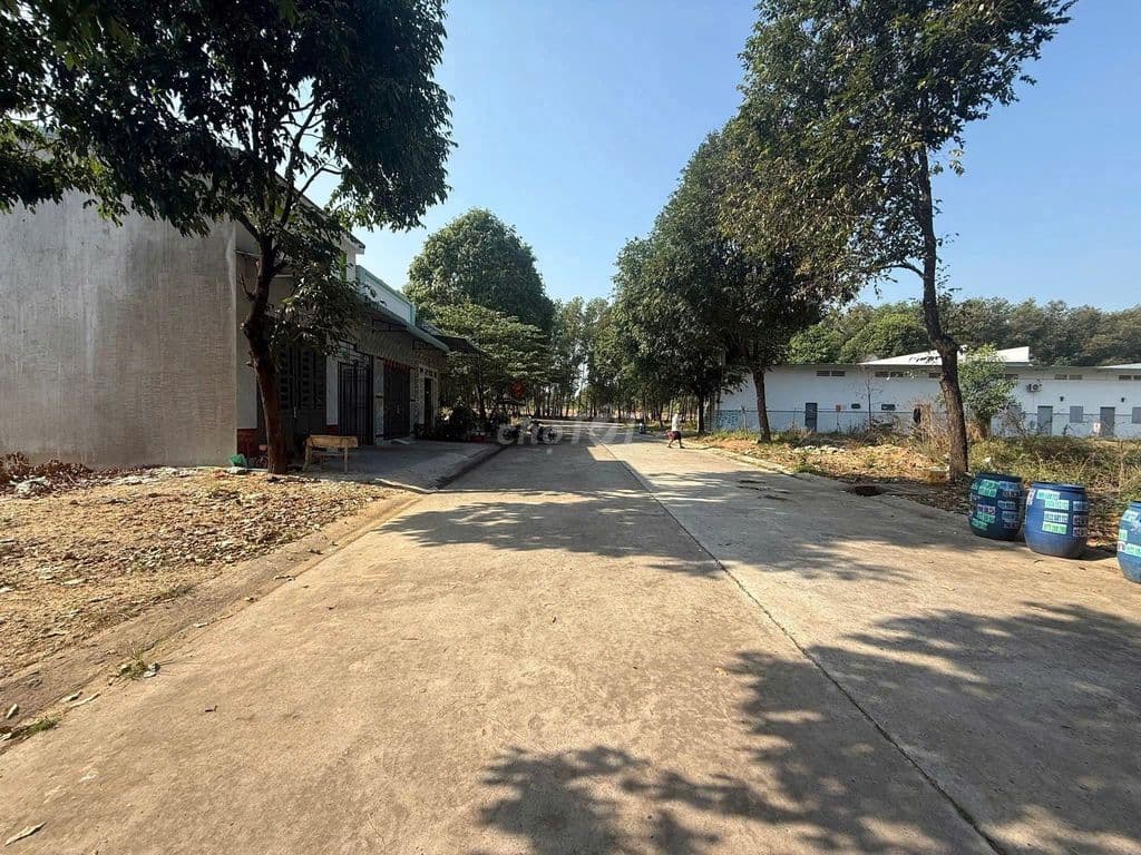 BÁN ĐẤT THỔ CƯ LƯU BÌNH HƯƠNG – CỦ CHI DT 6X48 SHR - Ảnh 2