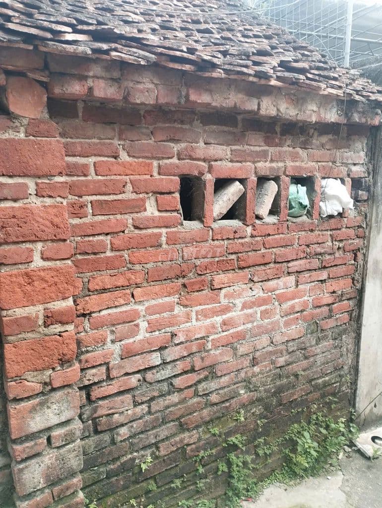 Bán 48m đất xen kẹt siêu đẹp xã Đại Thanh, ngõ rộng, vị trí đẹp - Ảnh 3