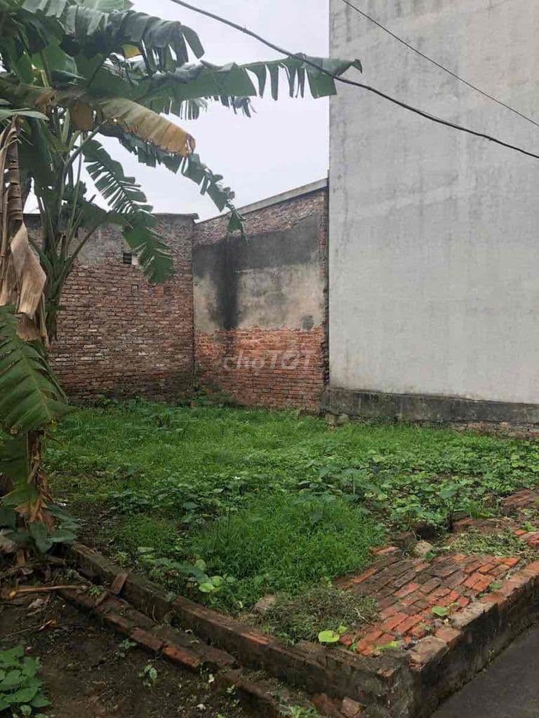 🏡 BÁN ĐẤT ĐẸP NGÕ PHÚC LỢI – MT 6.5M – GẦN Ô TÔ – GIÁ ĐẦU TƯ 🏡 - Ảnh 3