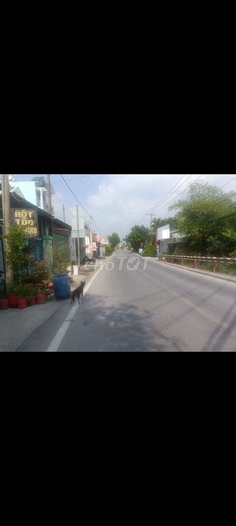 Bán nhà mặt tiền đường Bình Mỹ củ Chi TP HCM