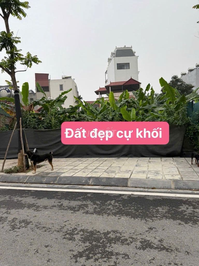 CẦN BÁN ĐẤT CỰ KHỐI LONG BIÊN HÀ NỘI.