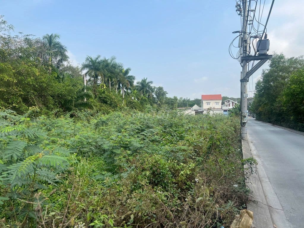 ĐẤT 1000M2 LONG THUẬN Q9 - CAM KẾT BÁN LỖ 13,5 TỶ CHỐT CỨNG.!!!