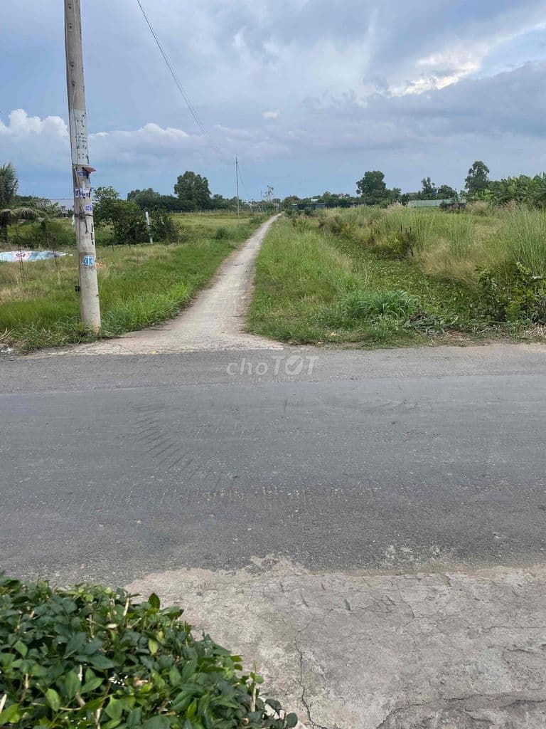 bán đất vườn trồng cây lâu năm - Ảnh 2