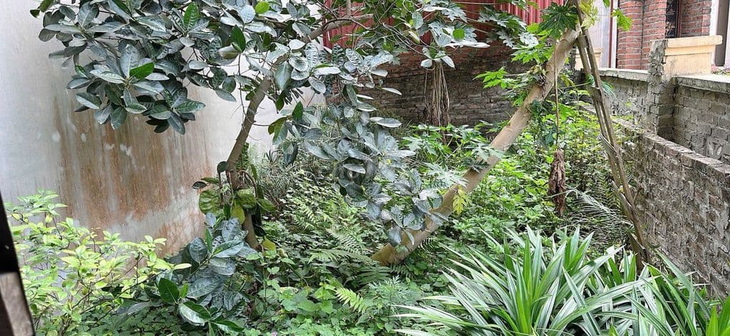 🍀 🍀 Bán 44m2 Đất Cổ Điển, Hải Bối – 1 phút ra Cầu TL – Dân Cư Sầm Uất