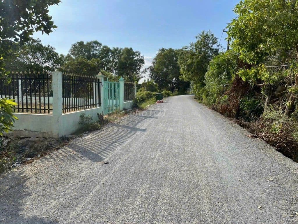 Bán lô đất 10×42m(420m2) xã Qui Đức, huyện Bình Chánh - Ảnh 3