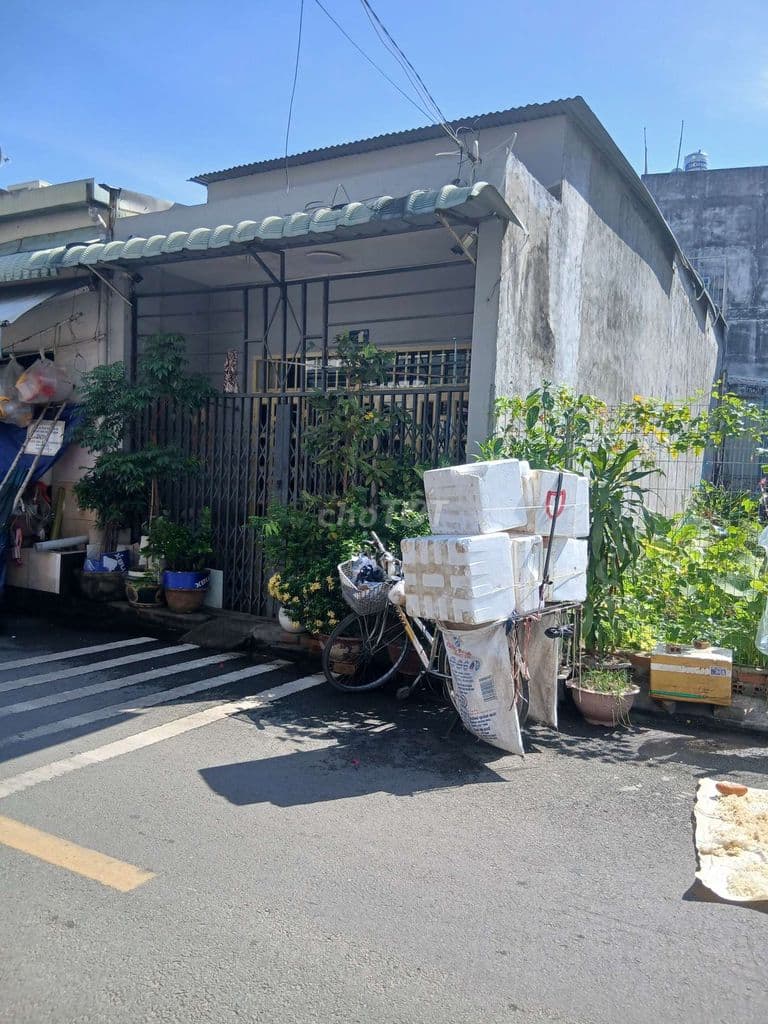 Đất mt dt 4,5×19=85m² thổ cư shr - Ảnh 3