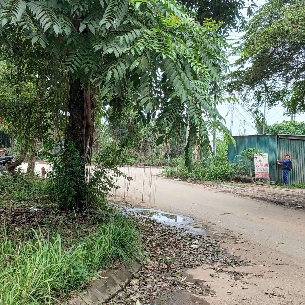 đất thổ cư - Ảnh 3