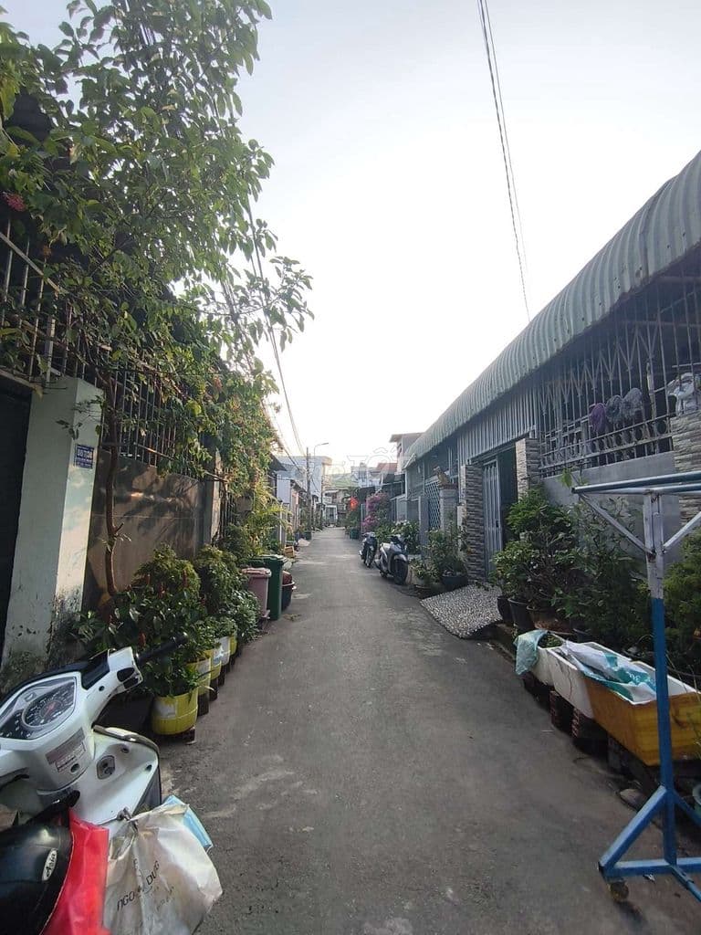 ĐẤT NGAY BẾN XE MIỀM ĐÔNG MỚI 61M2 CHỈ 2,6 SỔ RIÊNG - Ảnh 3