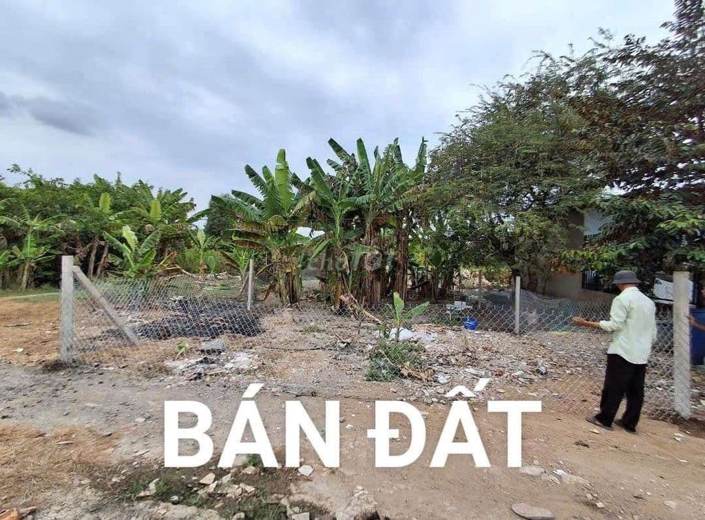 Bán Đất Bình Chánh 130m2 nở hậu còn thương lượng, đất chính chủ