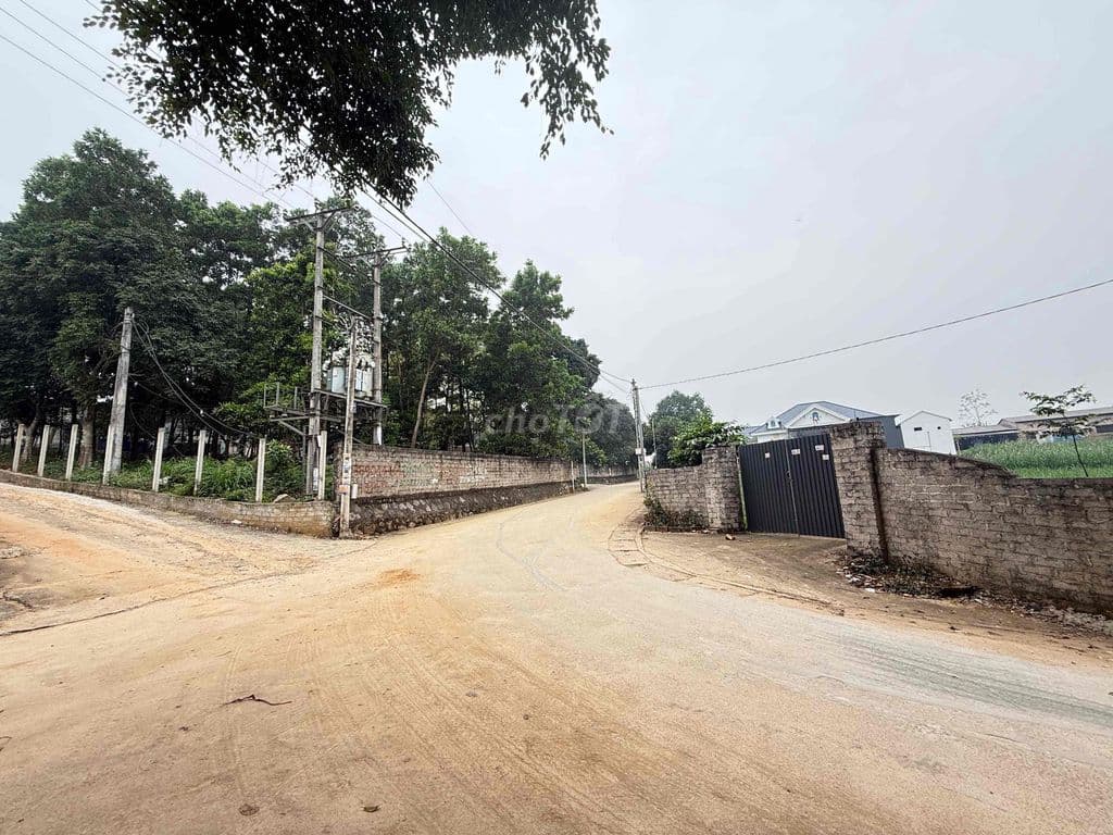 150m full thổ cư tại Yên Bài. Sổ hồng HN giá chỉ 1,390 tỷ /lô đg thông - Ảnh 2