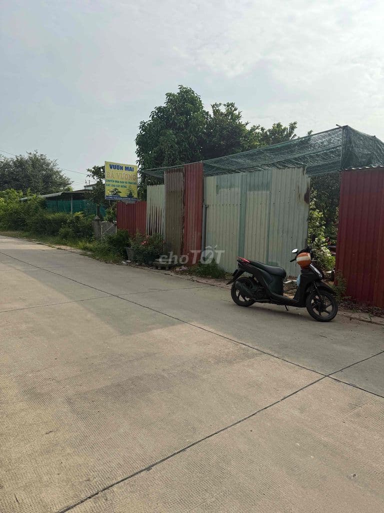 🔥 CẦN BÁN ĐẤT ẤP BẾN ĐÒ – TÂN PHÚ TRUNG, CỦ CHI 🔥